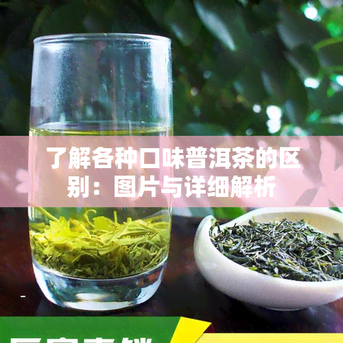 了解各种口味普洱茶的区别：图片与详细解析