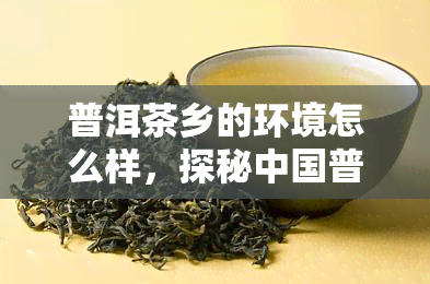 普洱茶乡的环境怎么样，探秘中国普洱茶乡：醉美生态环境全览