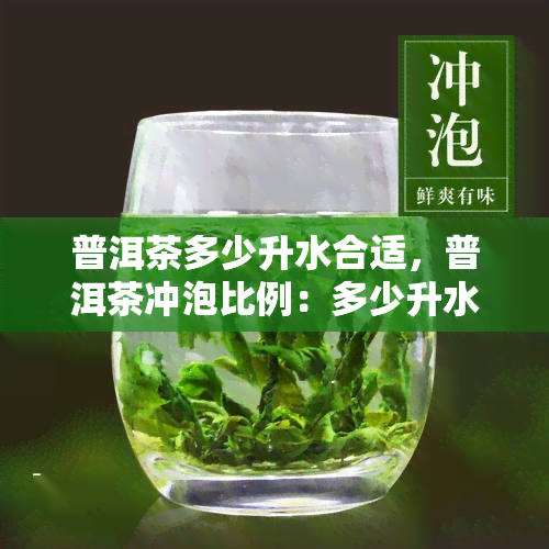 普洱茶多少升水合适，普洱茶冲泡比例：多少升水最合适？