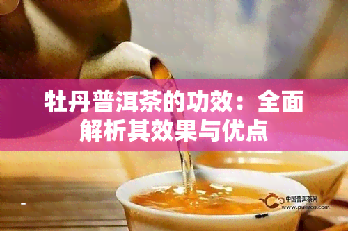 牡丹普洱茶的功效：全面解析其效果与优点