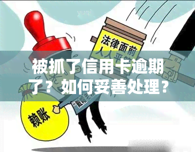 被抓了信用卡逾期了？如何妥善处理？