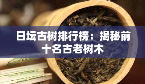 日坛古树排行榜：揭秘前十名古老树木