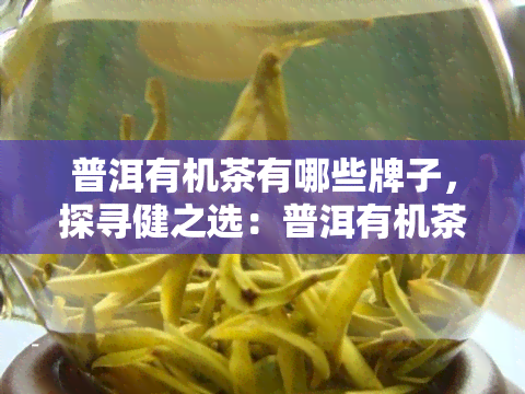 普洱有机茶有哪些牌子，探寻健之选：普洱有机茶推荐