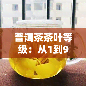 普洱茶茶叶等级：从1到9级的划分标准与优劣比较