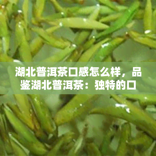 湖北普洱茶口感怎么样，品鉴湖北普洱茶：独特的口感体验