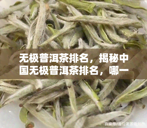 无极普洱茶排名，揭秘中国无极普洱茶排名，哪一款更值得尝试？