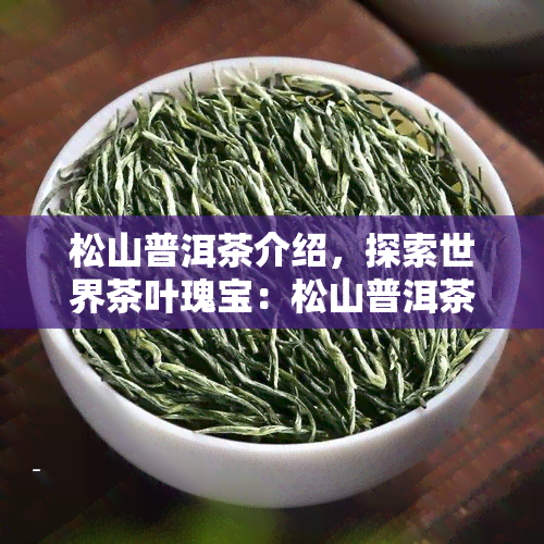 松山普洱茶介绍，探索世界茶叶瑰宝：松山普洱茶详细介绍