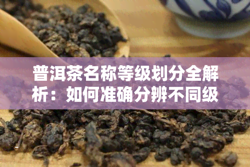 普洱茶名称等级划分全解析：如何准确分辨不同级别的普洱茶？