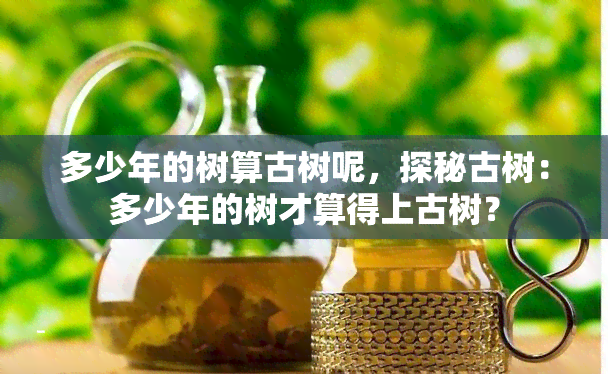 多少年的树算古树呢，探秘古树：多少年的树才算得上古树？