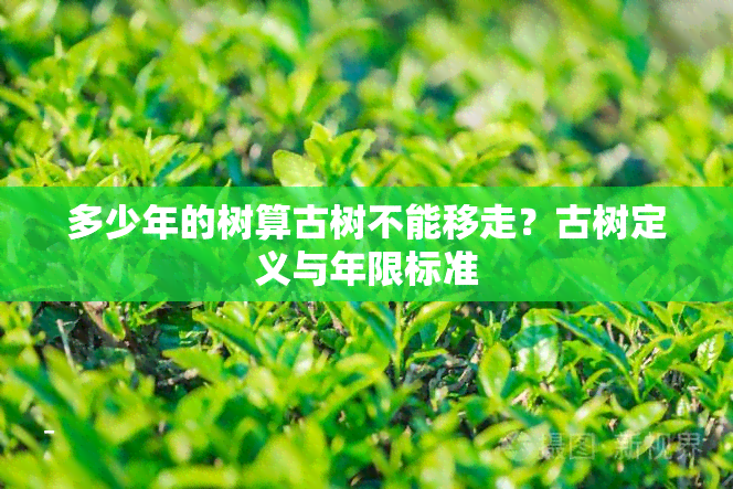 多少年的树算古树不能移走？古树定义与年限标准