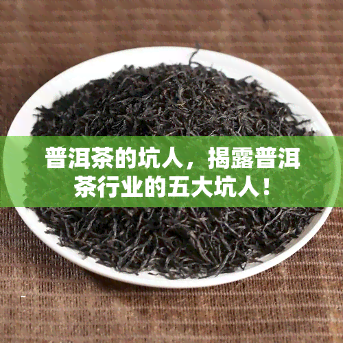 普洱茶的坑人，揭露普洱茶行业的五大坑人！