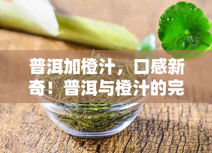 普洱加橙汁，口感新奇！普洱与橙汁的完美结合，让你一试难忘