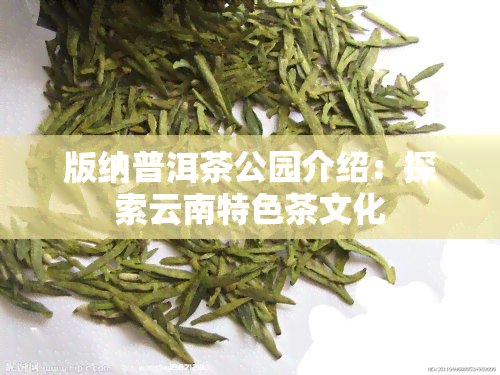 版纳普洱茶公园介绍：探索云南特色茶文化