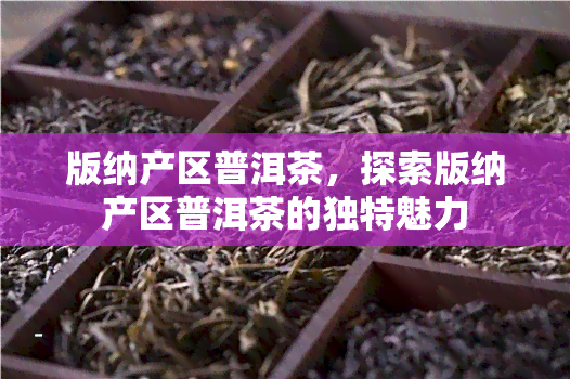 版纳产区普洱茶，探索版纳产区普洱茶的独特魅力