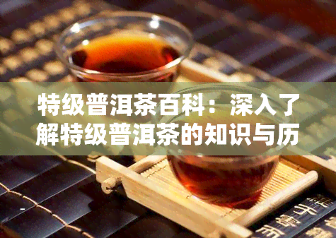 特级普洱茶百科：深入了解特级普洱茶的知识与历