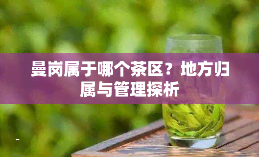 曼岗属于哪个茶区？地方归属与管理探析