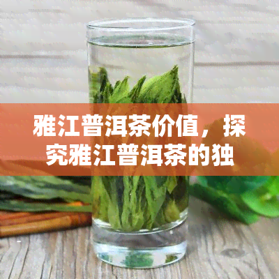 雅江普洱茶价值，探究雅江普洱茶的独特价值与魅力