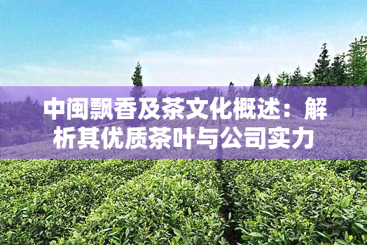 中闽飘香及茶文化概述：解析其优质茶叶与公司实力