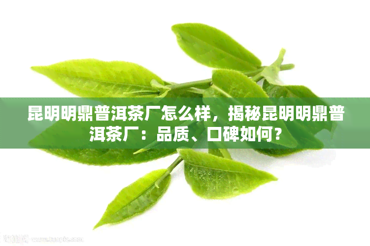 昆明明鼎普洱茶厂怎么样，揭秘昆明明鼎普洱茶厂：品质、口碑如何？