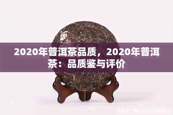 2020年普洱茶品质，2020年普洱茶：品质鉴与评价