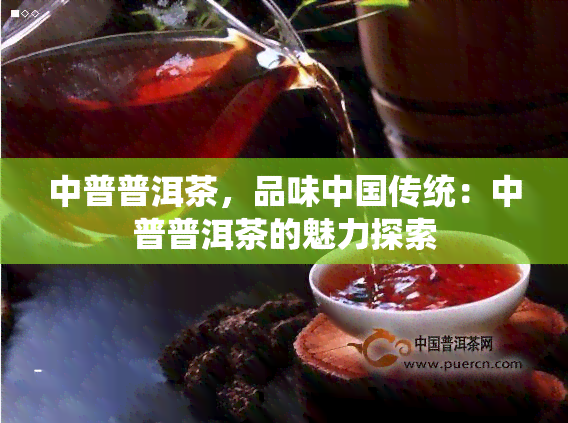 中普普洱茶，品味中国传统：中普普洱茶的魅力探索