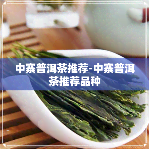 中寨普洱茶推荐-中寨普洱茶推荐品种