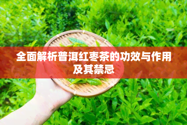 全面解析普洱红枣茶的功效与作用及其禁忌