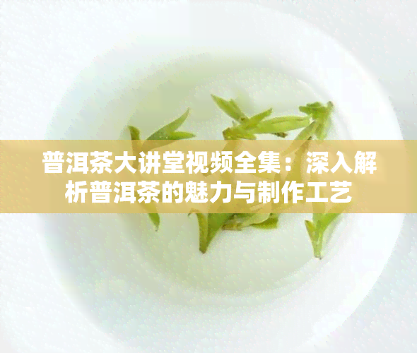 普洱茶大讲堂视频全集：深入解析普洱茶的魅力与制作工艺