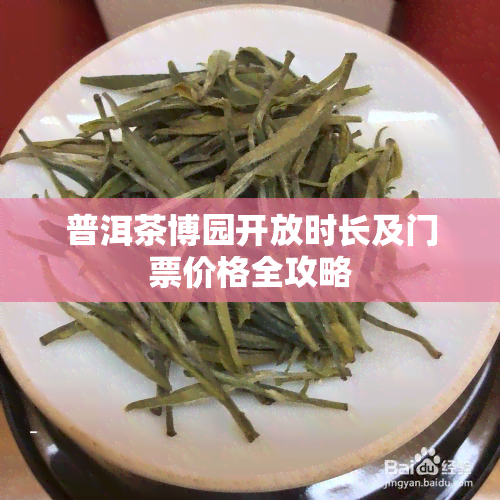 普洱茶博园开放时长及门票价格全攻略