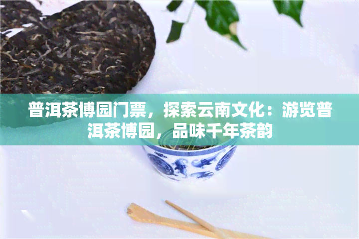 普洱茶博园门票，探索云南文化：游览普洱茶博园，品味千年茶韵