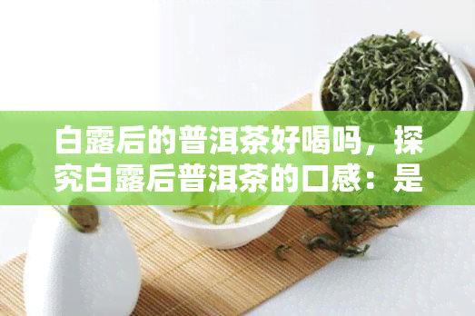 白露后的普洱茶好喝吗，探究白露后普洱茶的口感：是否值得一试？