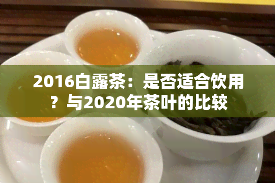 2016白露茶：是否适合饮用？与2020年茶叶的比较