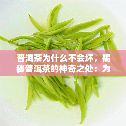 普洱茶为什么不会坏，揭秘普洱茶的神奇之处：为何它能长时间保存而不变质？