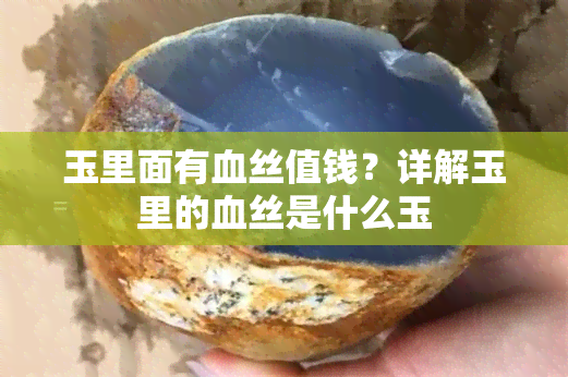 玉里面有血丝值钱？详解玉里的血丝是什么玉