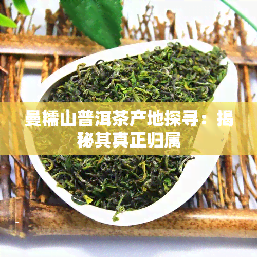 曼糯山普洱茶产地探寻：揭秘其真正归属