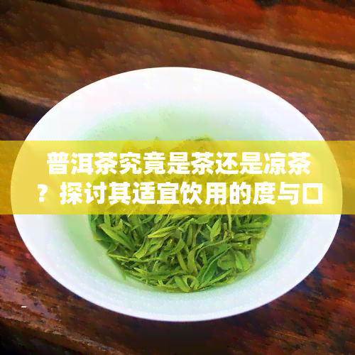 普洱茶究竟是茶还是凉茶？探讨其适宜饮用的度与口感