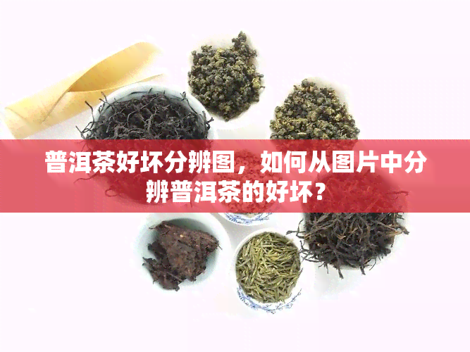 普洱茶好坏分辨图，如何从图片中分辨普洱茶的好坏？