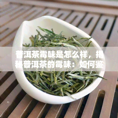 普洱茶霉味是怎么样，揭秘普洱茶的霉味：如何鉴别和处理？