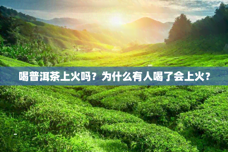 喝普洱茶上火吗？为什么有人喝了会上火？