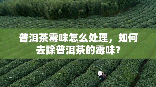 普洱茶霉味怎么处理，如何去除普洱茶的霉味？