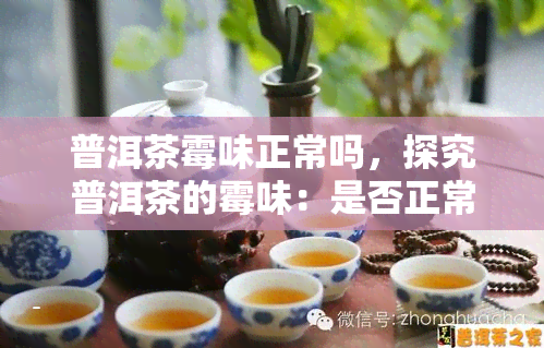 普洱茶霉味正常吗，探究普洱茶的霉味：是否正常？