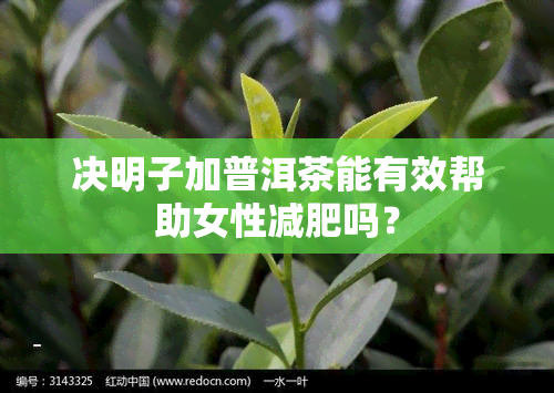 决明子加普洱茶能有效帮助女性减肥吗？