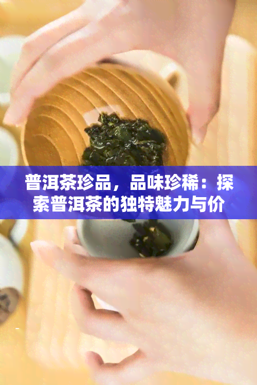 普洱茶珍品，品味珍稀：探索普洱茶的独特魅力与价值