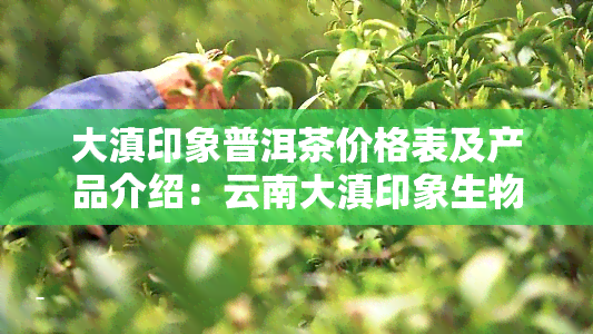 大滇印象普洱茶价格表及产品介绍：云南大滇印象生物科技