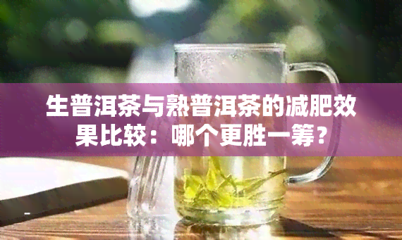 生普洱茶与熟普洱茶的减肥效果比较：哪个更胜一筹？