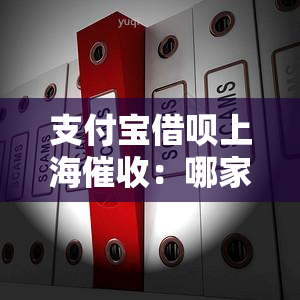 支付宝借呗上海：哪家公司在进行？联系电话是多少？