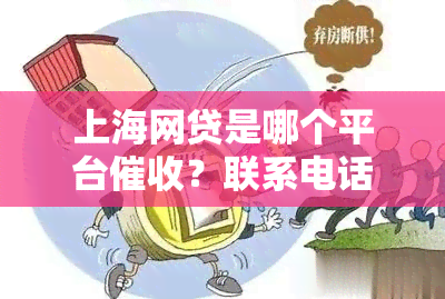 上海网贷是哪个平台？联系电话与公司全揭秘