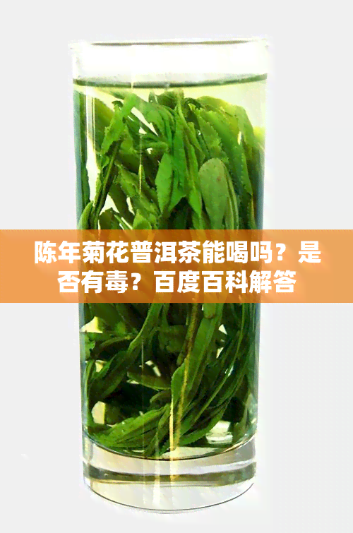 陈年菊花普洱茶能喝吗？是否有？百度百科解答