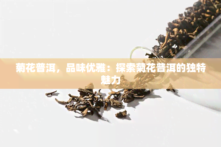 菊花普洱，品味优雅：探索菊花普洱的独特魅力