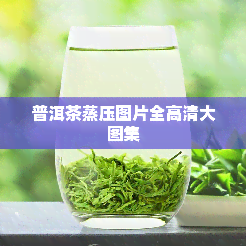 普洱茶蒸压图片全高清大图集